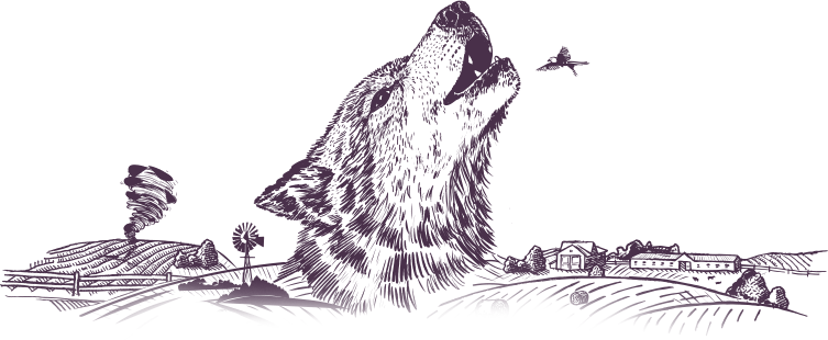 Wolf Illustration