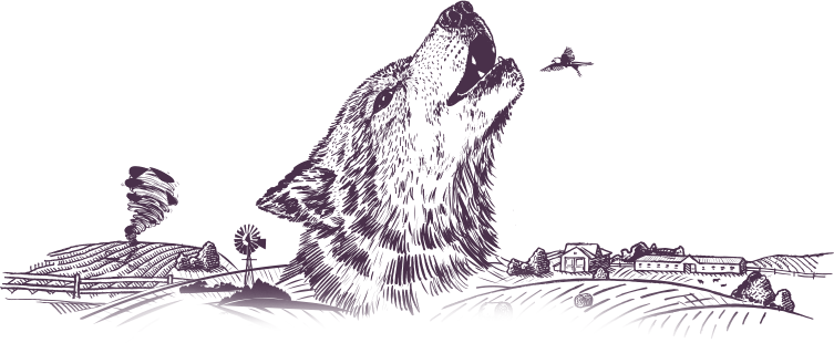 Wolf Illustration