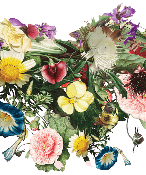 mobile_florals_transition
